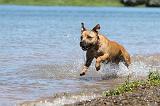 STAFFIE 198